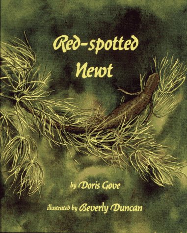 Stock image for Red-Spotted Newt for sale by Wonder Book