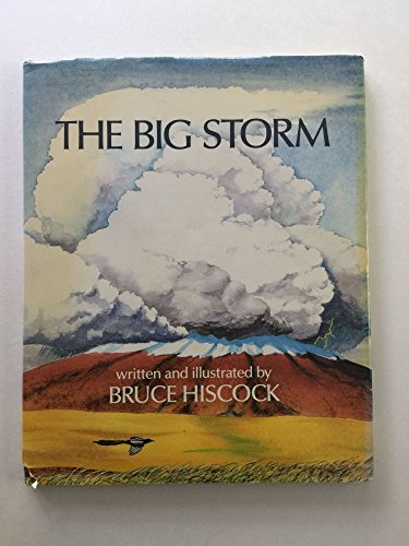 Stock image for The Big Storm for sale by Better World Books