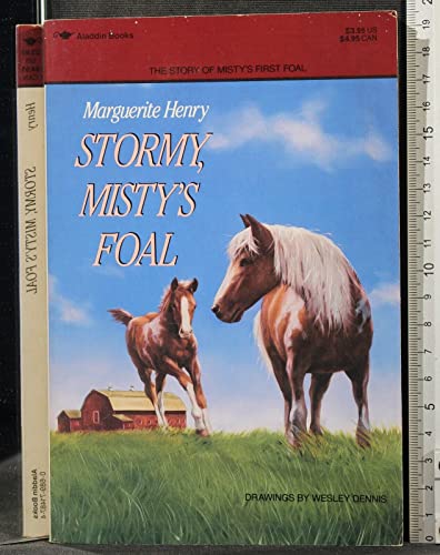 Stock image for STORMY : MISTY'S FOAL for sale by GLOVER'S BOOKERY, ABAA