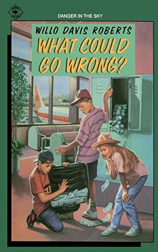 9780689716904: What Could Go Wrong? (Aladdin Books)