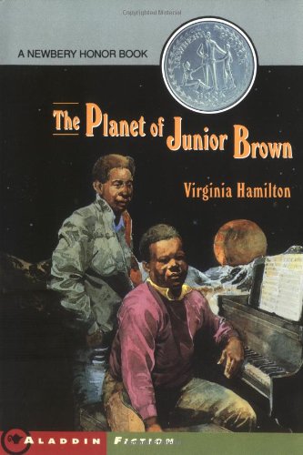 Beispielbild fr The Planet of Junior Brown zum Verkauf von SecondSale