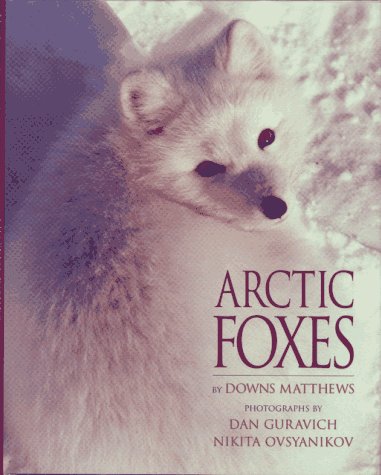 9780689802843: Arctic Foxes