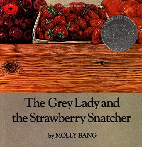 Stock image for The Grey Lady and the Strawberry Snatcher for sale by SecondSale