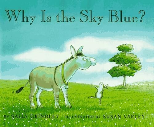 Imagen de archivo de Why Is the Sky Blue? a la venta por Better World Books