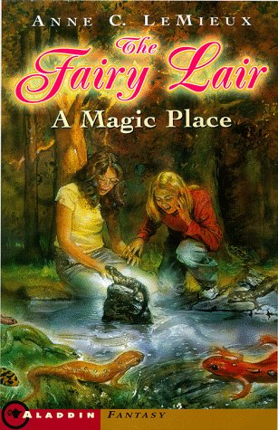 Stock image for Fairylair: A Magic Place: A Magic Place for sale by ThriftBooks-Dallas