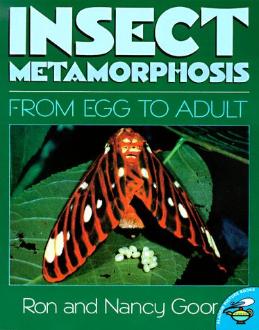 Stock image for Insect Metamorphosis: From Egg to Adult (Aladdin Picture Books) for sale by dsmbooks