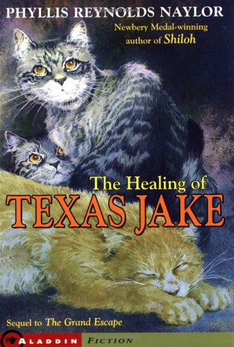 9780689822438: The Healing of Texas Jake