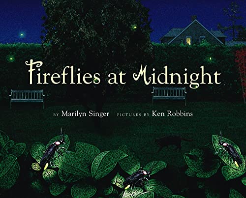 Beispielbild fr Fireflies at Midnight zum Verkauf von Gulf Coast Books