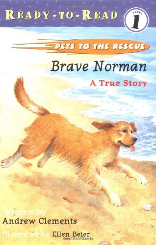 Beispielbild fr Brave Norman : A True Story zum Verkauf von Better World Books