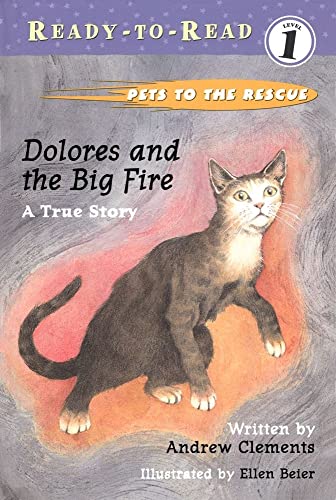 Beispielbild fr Dolores and the Big Fire : Ready-To-Read Level 1 zum Verkauf von Better World Books