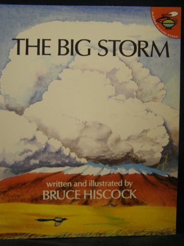 Stock image for The Big Storm (Aladdin Picture Books) for sale by Reliant Bookstore