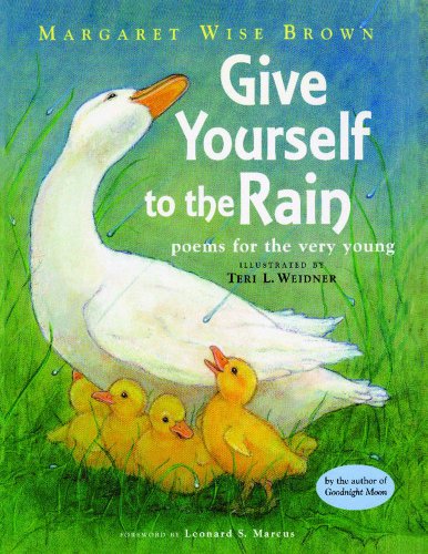 Imagen de archivo de Give Yourself to the Rain: Poems for the Very Young a la venta por Front Cover Books