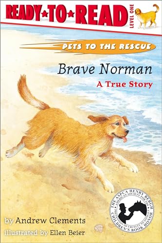 Beispielbild fr Brave Norman : A True Story zum Verkauf von Wonder Book