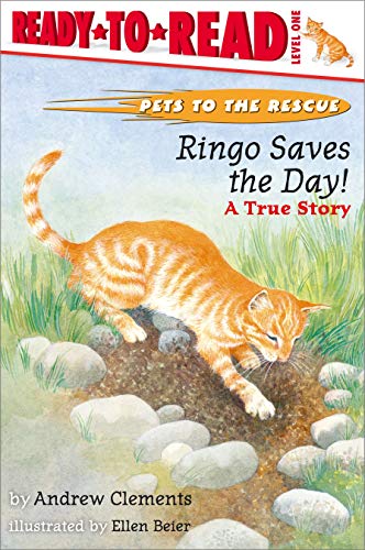 Stock image for Ringo Saves The Day! : A True Story for sale by Gulf Coast Books