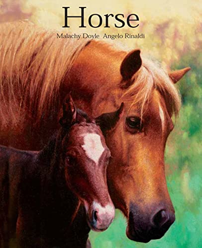 Stock image for Horse for sale by WorldofBooks