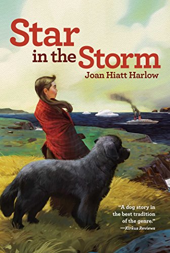 9780689846212: Star in the Storm (Aladdin Historical Fiction)