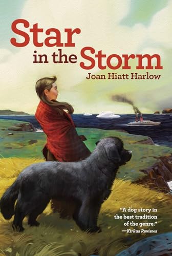 9780689846212: Star in the Storm (Aladdin Historical Fiction)