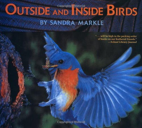 Stock image for Outside and Inside Birds for sale by Isle of Books