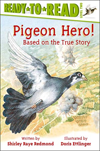 Stock image for Pigeon Hero!: Ready-to-Read Level 2 for sale by Your Online Bookstore