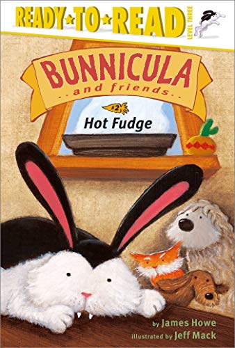 Imagen de archivo de Hot Fudge a la venta por Better World Books