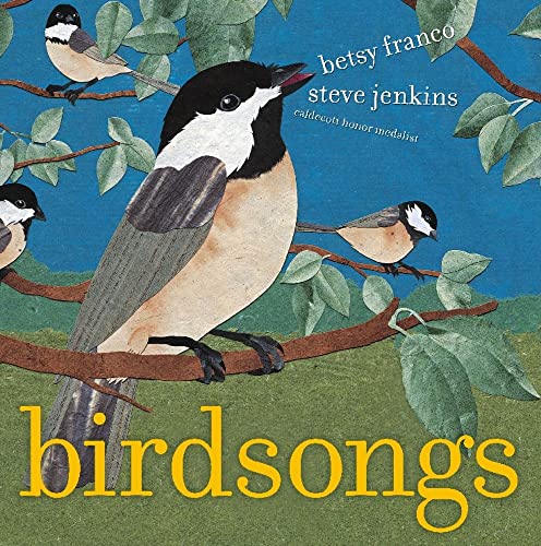 Stock image for Birdsongs for sale by Dream Books Co.