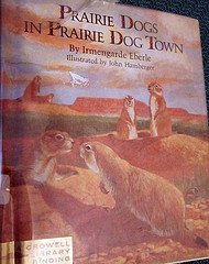 Beispielbild fr Prairie Dogs in Prairie Dog Town zum Verkauf von ThriftBooks-Atlanta