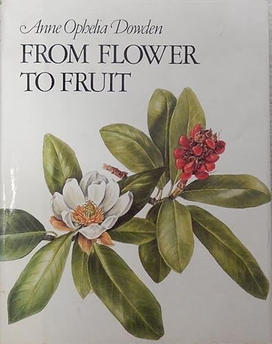 Beispielbild fr From Flower to Fruit zum Verkauf von Better World Books