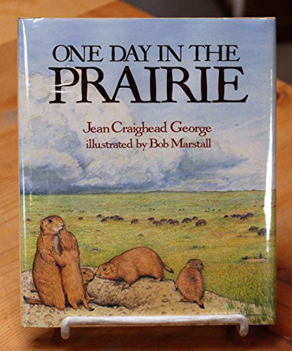 9780690045666: One Day in the Prairie