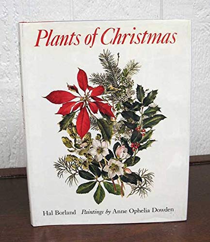 Plants of Christmas