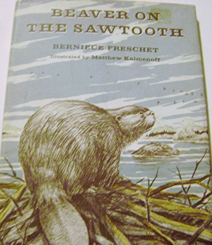 Imagen de archivo de Beaver on the Sawtooth a la venta por ThriftBooks-Dallas