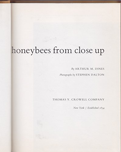 Imagen de archivo de Honeybees from Close Up a la venta por Wonder Book