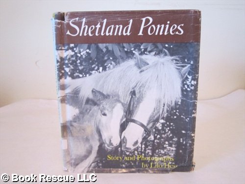 Beispielbild fr Shetland Ponies. zum Verkauf von Wonder Book