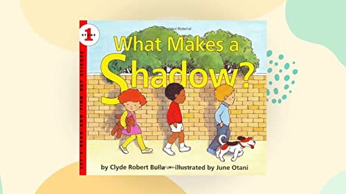 Beispielbild fr What Makes a Shadow? zum Verkauf von The Book Garden