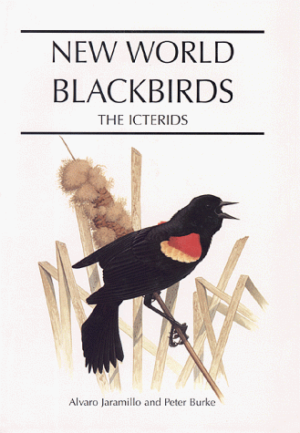 New World Blackbirds (9780691006802) by Jaramillo, Alvaro; Burke, Peter