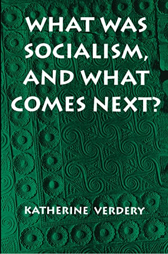 What Was Socialism, and What Comes Next? (Princeton Studies in Culture/Power/History) - Katherine Verdery