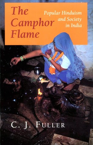 Stock image for The Camphor Flame : Popular Hinduism and Society in India for sale by Better World Books