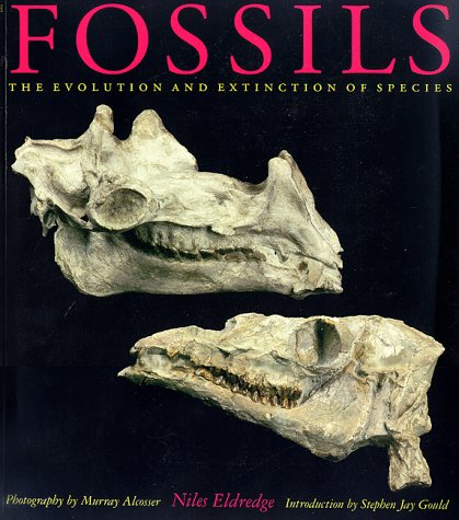 Imagen de archivo de Fossils : The Evolution and Extinction of Species a la venta por Better World Books: West