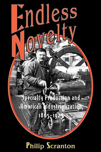 Imagen de archivo de Endless Novelty : Specialty Production and American Industrialization, 1865-1925 a la venta por Better World Books