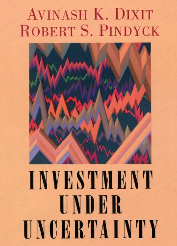 Imagen de archivo de Investment under Uncertainty a la venta por GF Books, Inc.