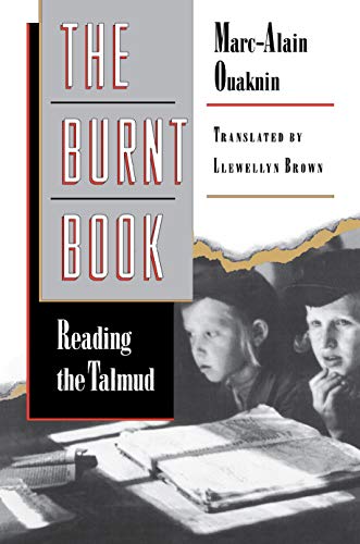 Stock image for The Burnt Book : Reading the Talmud for sale by Better World Books