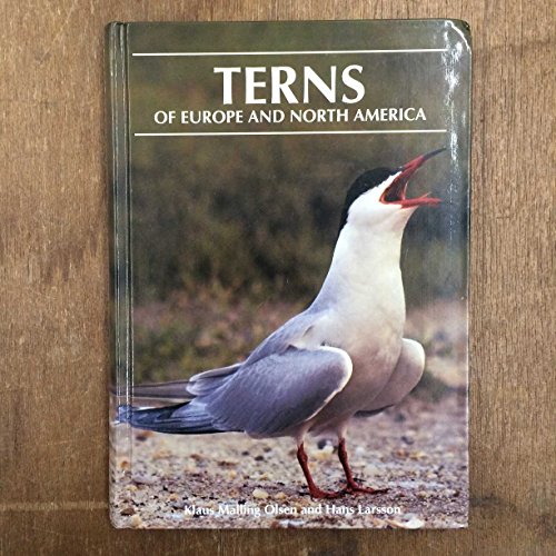 Stock image for Terns of Europe and North America for sale by Book Deals