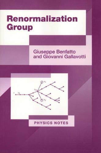 9780691044477: Renormalization Group (Physics Notes)