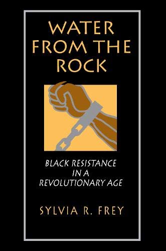 9780691047843: Water from the Rock: Black Resistance in a Revolutionary Age