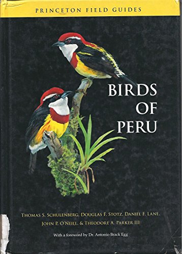 Stock image for Birds of Peru (Princeton Field Guides, 44) Schulenberg, Thomas S.; Stotz, Douglas F.; Lane, Daniel F.; O'Neill, John P.; Parker III, Theodore A. and Egg, Antonio Brack for sale by BennettBooksLtd