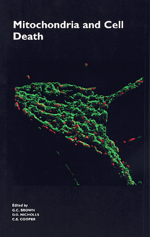 Beispielbild fr Mitochondria and Cell Death zum Verkauf von HPB-Red