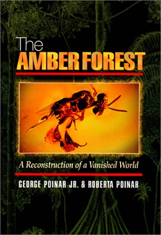 9780691057286: The Amber Forest: A Reconstruction of a Vanished World