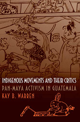 9780691058818: Indigenous Movements and Their Critics