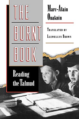 9780691059204: The Burnt Book: Reading the Talmud