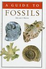 Beispielbild fr A Guide to Fossils zum Verkauf von Wonder Book