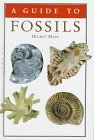 A Guide to Fossils